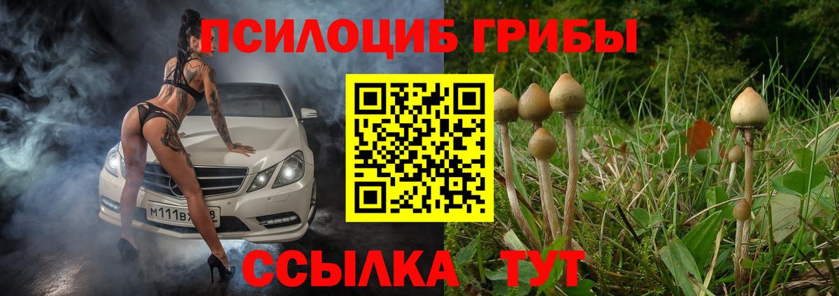 Галлюциногенные грибы GOLDEN TEACHER  Вход с VPN  Псилоцибиновые грибы Psilocybe  Великие Луки 