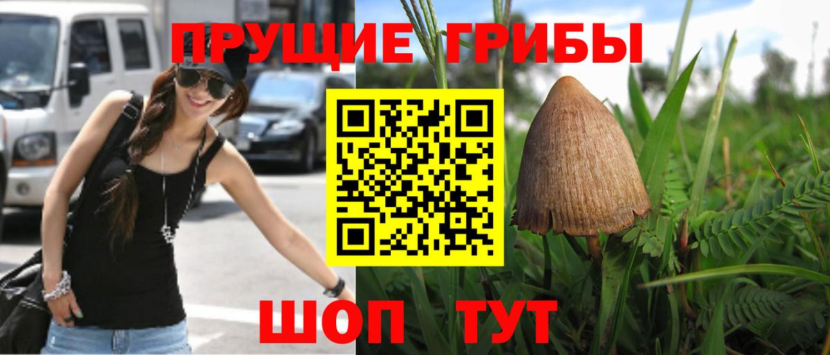 Псилоцибиновые грибы Великие Луки