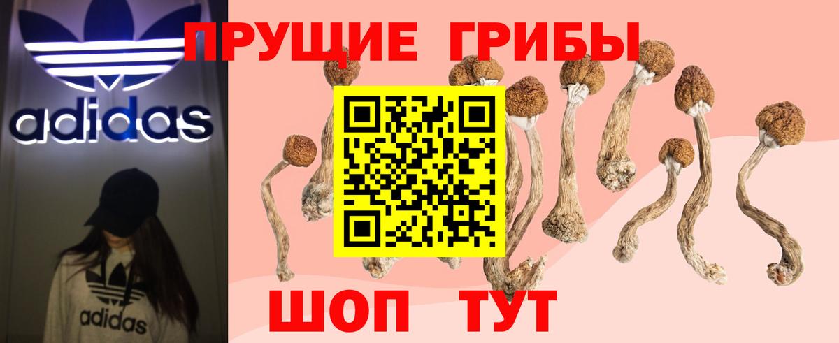 Галлюциногенные грибы прущие грибы Великие Луки